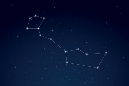 Cetus Constellation with Star Names in Night Sky vector