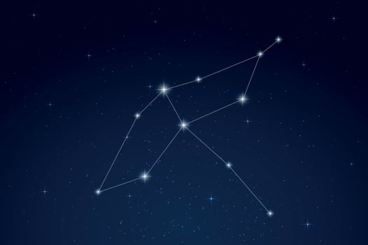 Cygnus Constellation with Star Names in Night Sky vector