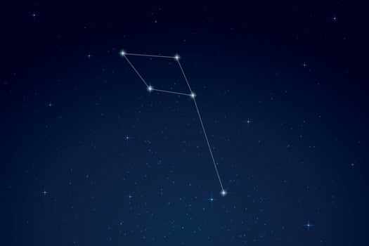 Delphinus Constellation with Star Names in Night Sky vector