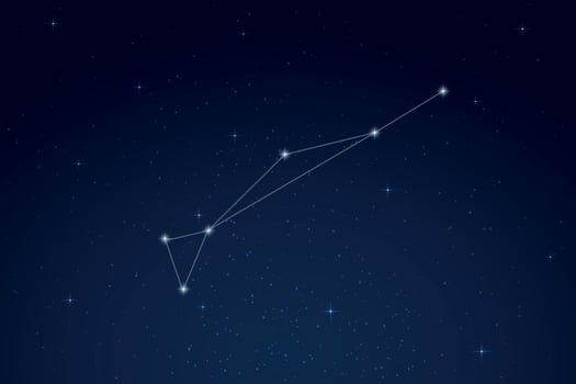 Dorado Constellation with Star Names in Night Sky vector