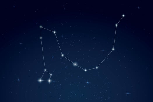Draco Constellation with Star Names in Night Sky vector