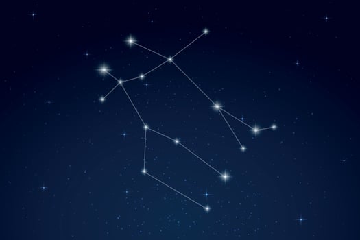 Gemini Constellation with Star Names in Night Sky vector