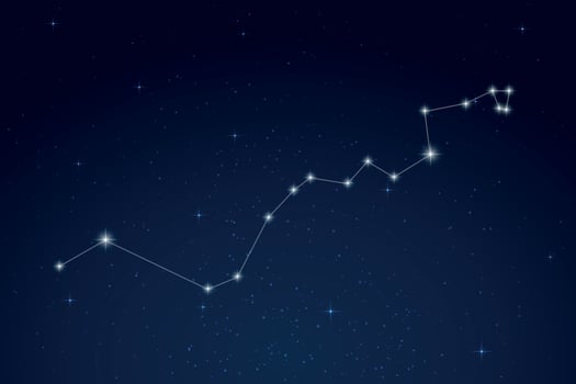 Hydra Constellation with Star Names in Night Sky vector
