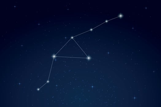 Grus Constellation with Star Names in Night Sky vector