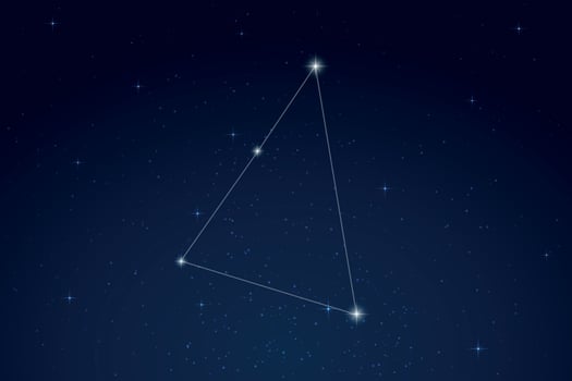 Hydrus Constellation with Star Names in Night Sky vector