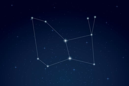 Lepus Constellation with Star Names in Night Sky vector