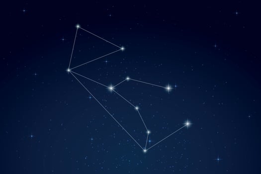 Lupus Constellation with Star Names in Night Sky vector