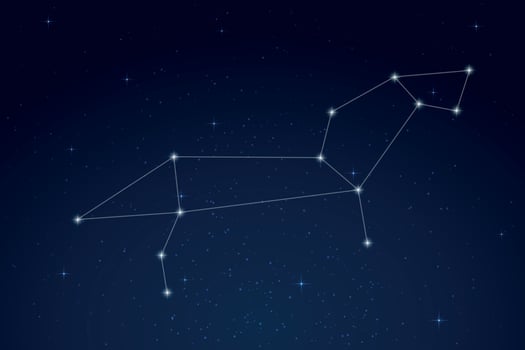 Leo Constellation with Star Names in Night Sky vector