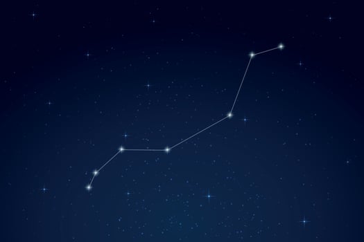 Lynx Constellation with Star Names in Night Sky vector
