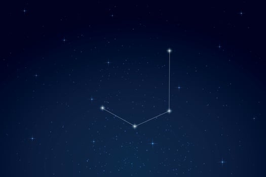 Mensa Constellation with Star Names in Night Sky vector