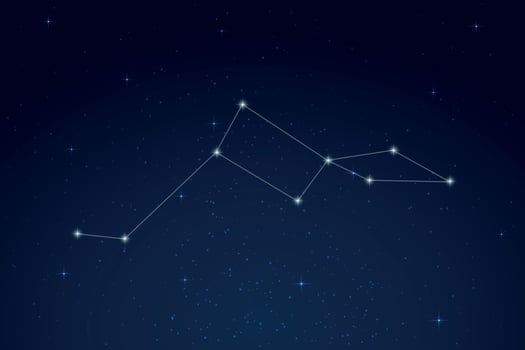 Lacerta Constellation with Star Names in Night Sky vector