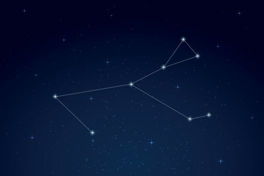 Monoceros Constellation with Star Names in Night Sky vector
