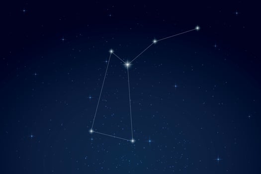 Musca Constellation with Star Names in Night Sky vector