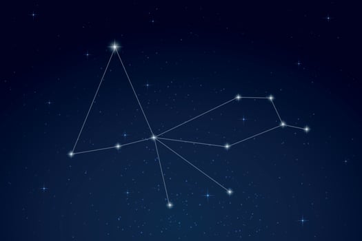 Pavo Constellation with Star Names in Night Sky vector