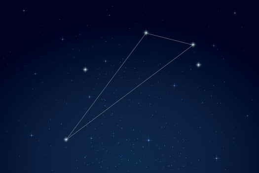 Octans Constellation with Star Names in Night Sky vector