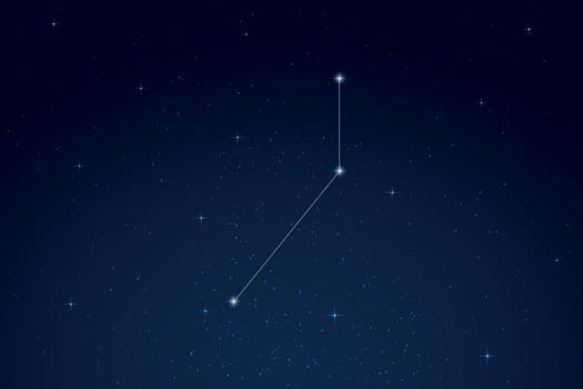 Pictor Constellation with Star Names in Night Sky vector