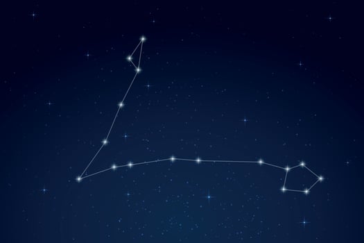 Pisces Constellation with Star Names in Night Sky vector