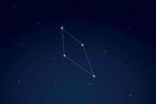 Reticulum Constellation with Star Names in Night Sky vector