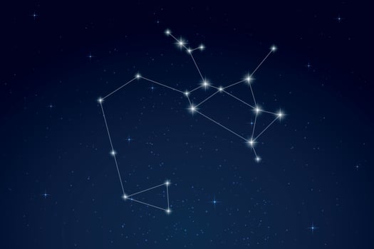 Sagittarius Constellation with Star Names in Night Sky vector