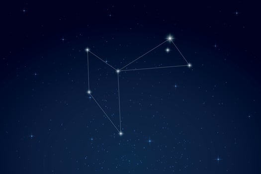 Phoenix Constellation with Star Names in Night Sky vector