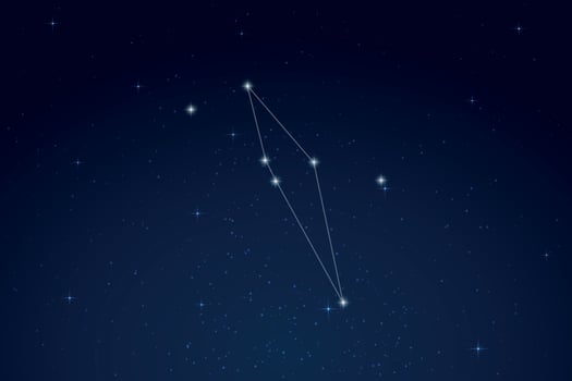 Scutum Constellation with Star Names in Night Sky vector
