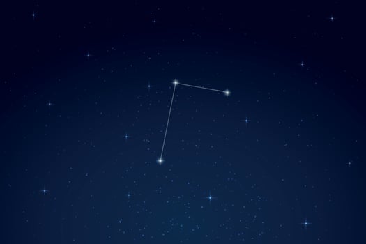 Telescopium Constellation with Star Names in Night Sky vector