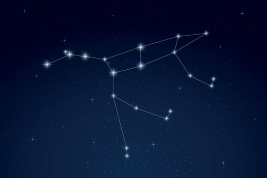 Ursa Major Constellation with Star Names in Sky vector
