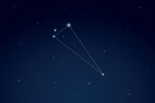 Triangulum Constellation with Star Names in Night Sky vector
