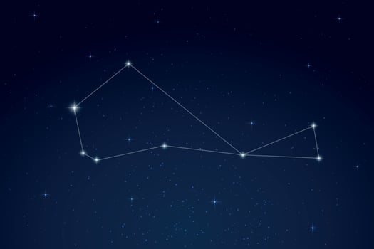 Piscis Austrinus Constellation with Star Names in Night Sky vector