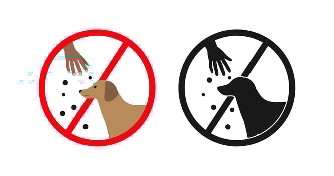 Do not feed dogs, forbidden to feed animals, prohibition sign vector