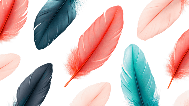 Colorful plumage arrangement on dark backdrop, cut out transparent png