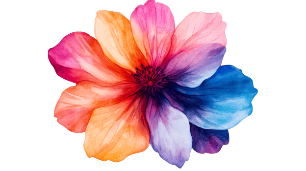 Colorful flower with gradient petals, beautiful floral element, cut out transparent png
