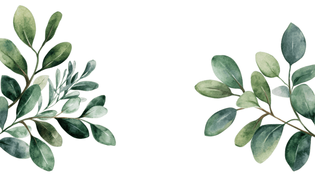 Green botanical foliage, leaves watercolor drawing, isolated, cut out transparent png