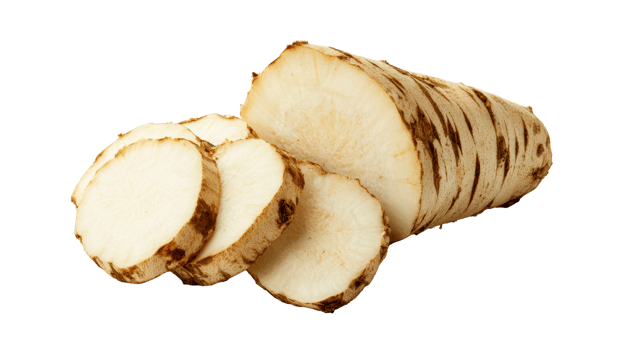 Fresh horseradish root with slices on transparent background png