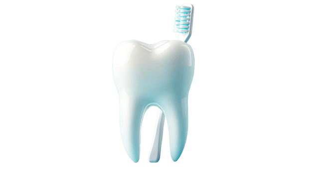 Tooth and toothbrush with transparent background for dental health png