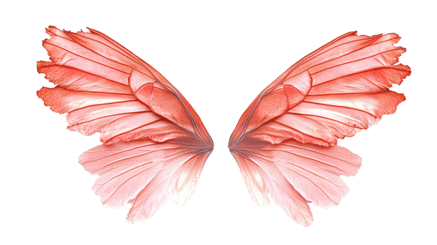 Delicate pink butterfly wings showcasing intricate patterns and soft textures, symbolizing beauty and transformation. png