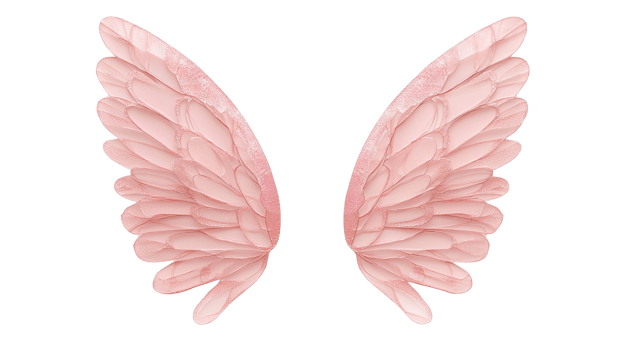 Delicate pink wings ideal for designs, illustrations, and various creative projects evoking elegance and fantasy. png