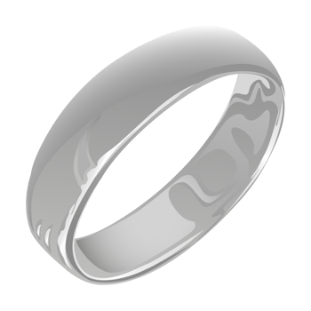 Silver Wedding Ring png