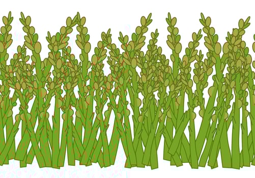 Green vegetable asparagus seamless horizontal border. Fresh organic veggie print for kitchen, menu, food package design with cabbage, zucchini, onion. Hand drawn flat illustration. vector