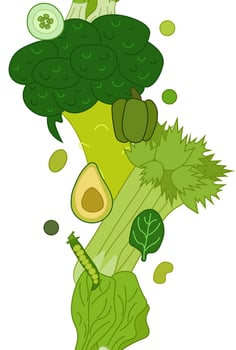 Green vegetables seamless vertical border. flat illustration for food design, recipe, cook book, packages, menu, food ads and decor Eat green vector