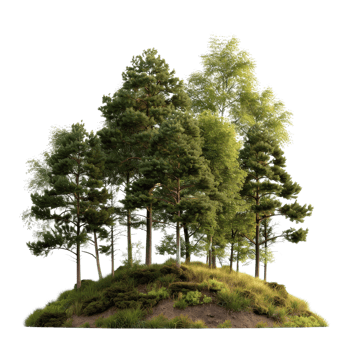 Lush Green Trees on a Small Hill Surrounded by Grass and Bright Vegetation in Natural Setting png