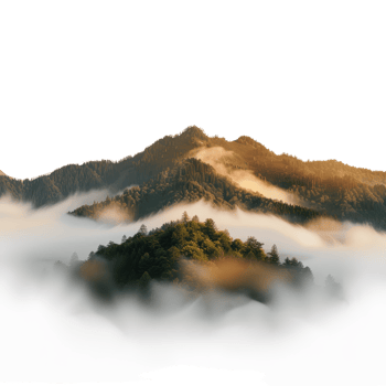 Serene Mountain Landscape with Thick Fog and Lush Green Forest at Sunrise png