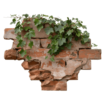 Broken Brick Wall with Green Ivy Leaves Adding Natural Touch to Urban Decay Aesthetic png