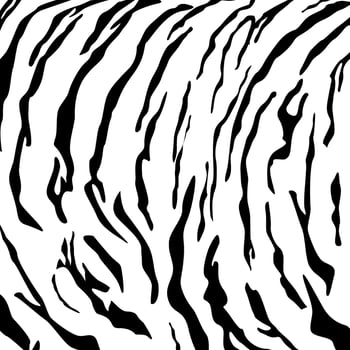 Predatory, dynamic, wild and energetic pattern associated with the natural power of the tiger. Seamless pattern with tiger stripes. Tiger pattern. Camouflage effect. Tiger coloring. vector