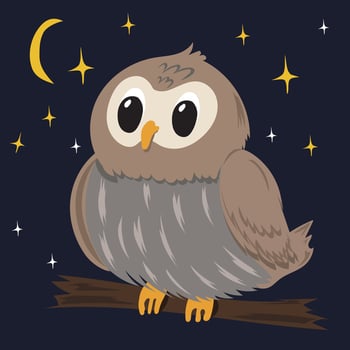 Kids sleep illustration owl night vector