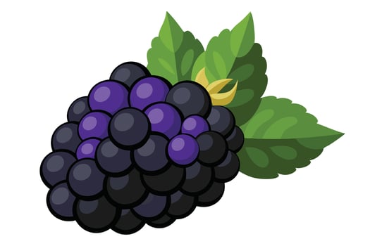 Isolated Cartoon Blackberry Fruit with Green Leaves and Stem on Transparent Background vector