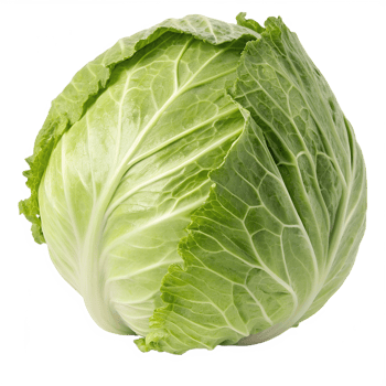 Green cabbage isolated on the transparent background. Healthy organic vegetable png