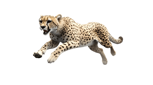 A majestic spotted feline in midstride showcasing its agility and power against a stark backg png
