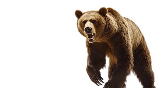 Fierce Wild Animal Roaring with Sharp Teeth and Muscular Build Ideal for Wildlife Nature and png