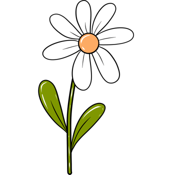 White daisy flower clipart, Spring floral doodle illustration png